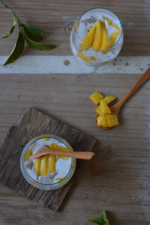 Coconut Mango and Sago Panna Cotta