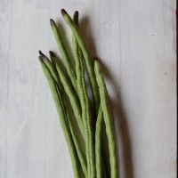 Snake Beans